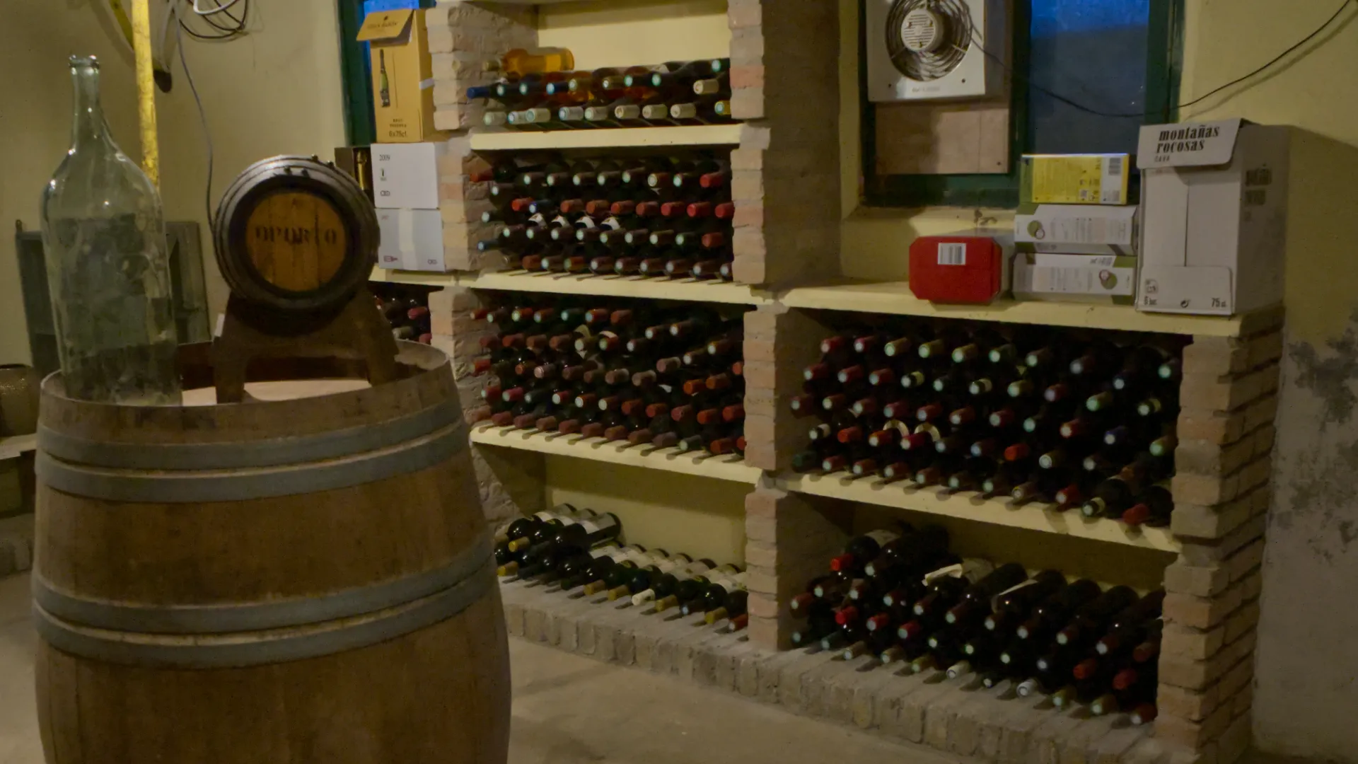 Basement1