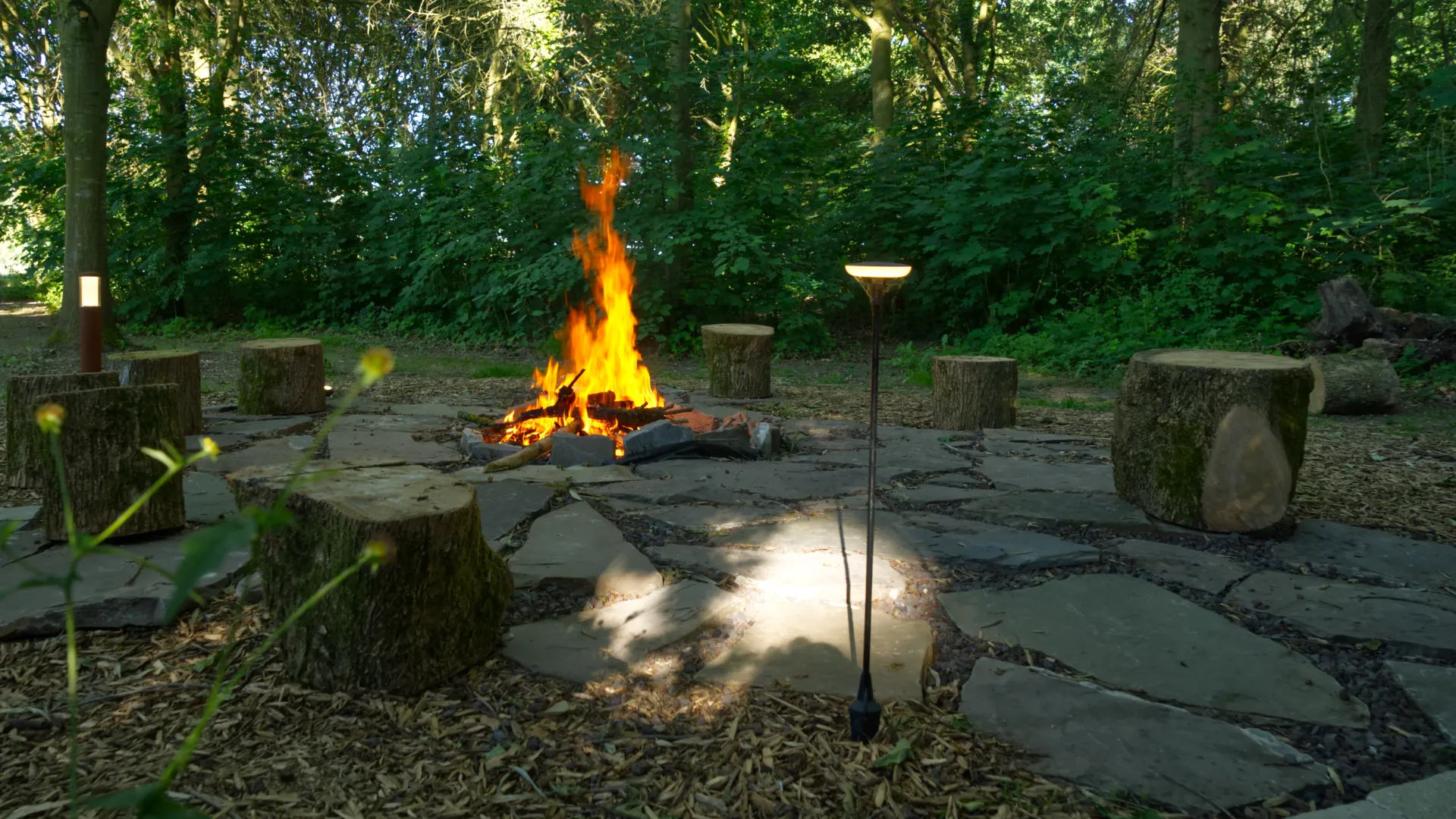 Campfire Day6