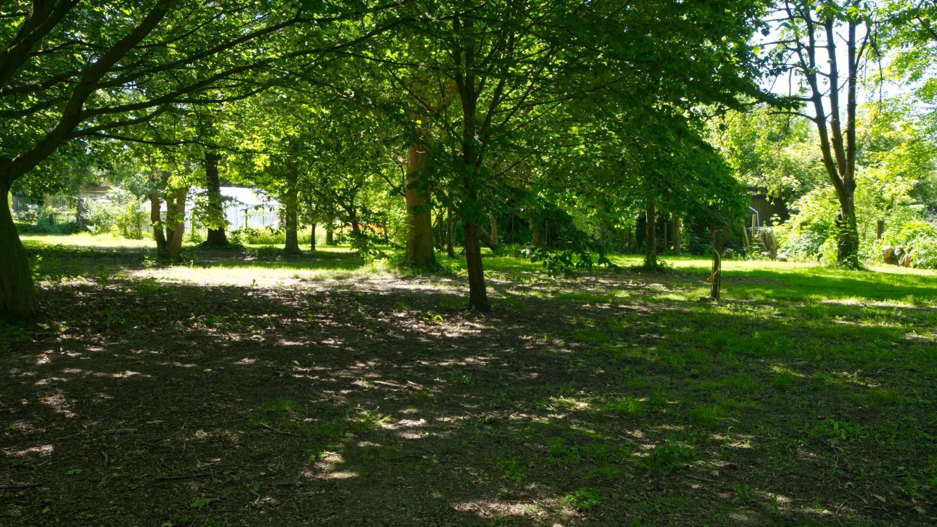 Outside 1